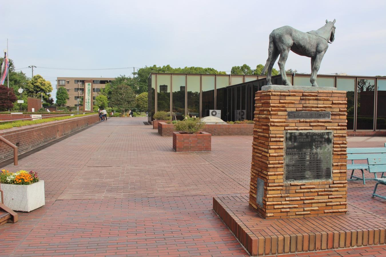 ãé¦¬ã®åç©é¤¨ãã®ç»åæ¤ç´¢çµæ