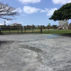 柔道チャンネル