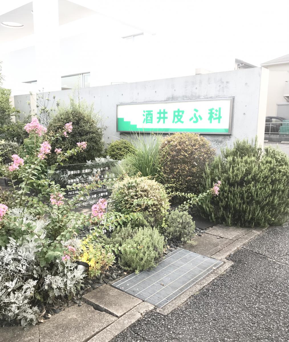 ドクターマップ 酒井皮ふ科