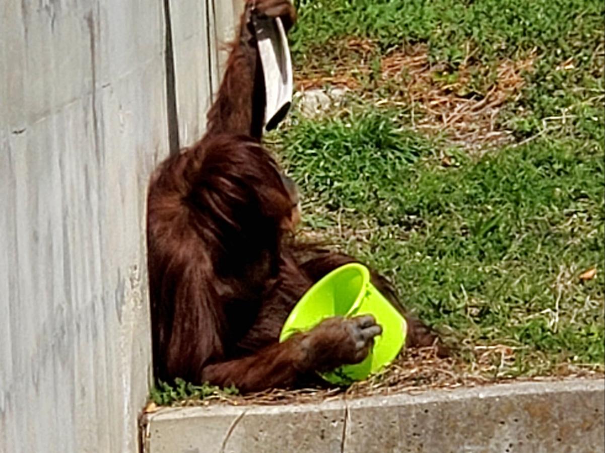 旅探 たびたん 東山動植物園 名古屋市千種区 の投稿写真一覧 1ページ