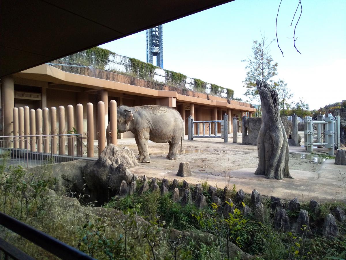 旅探 たびたん 東山動植物園 名古屋市千種区 の投稿写真一覧 1ページ