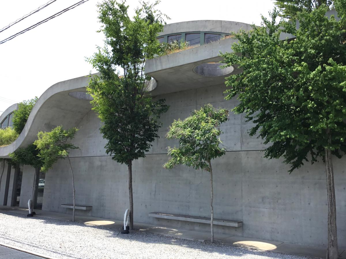 ドッグメディカル はすい動物病院