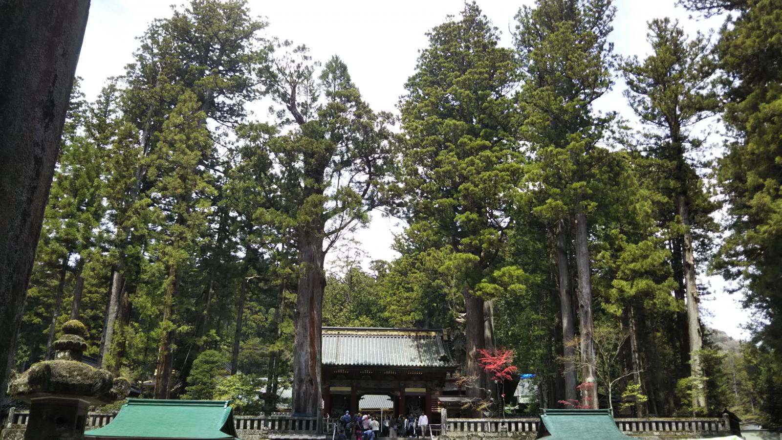 旅探 たびたん 日光東照宮のコメント一覧 2ページ