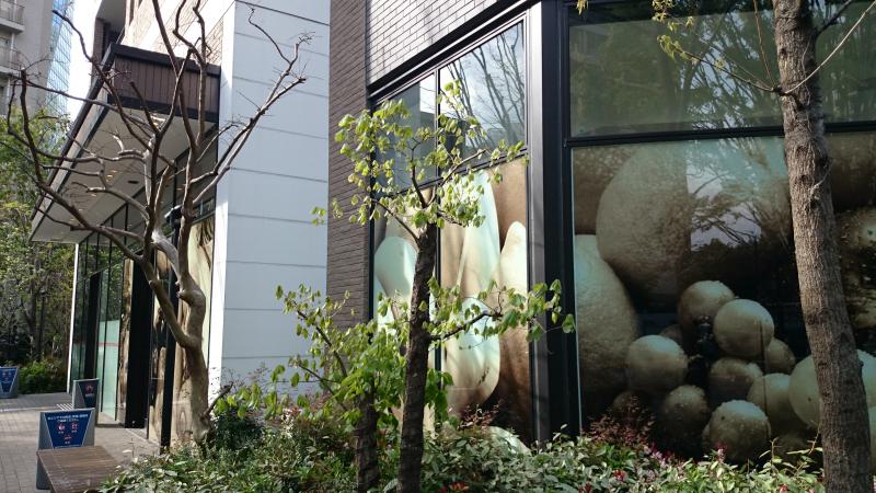 マーケットピア まいばすけっと 六本木1丁目店 東京都港区六本木