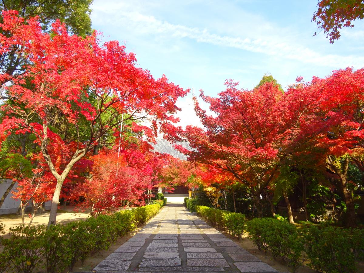 国清寺