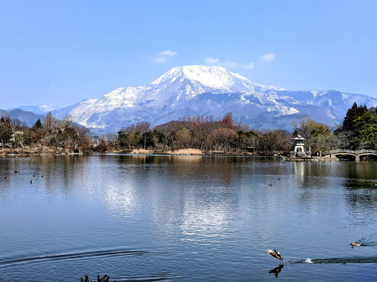旅探 たびたん 写真 三島池