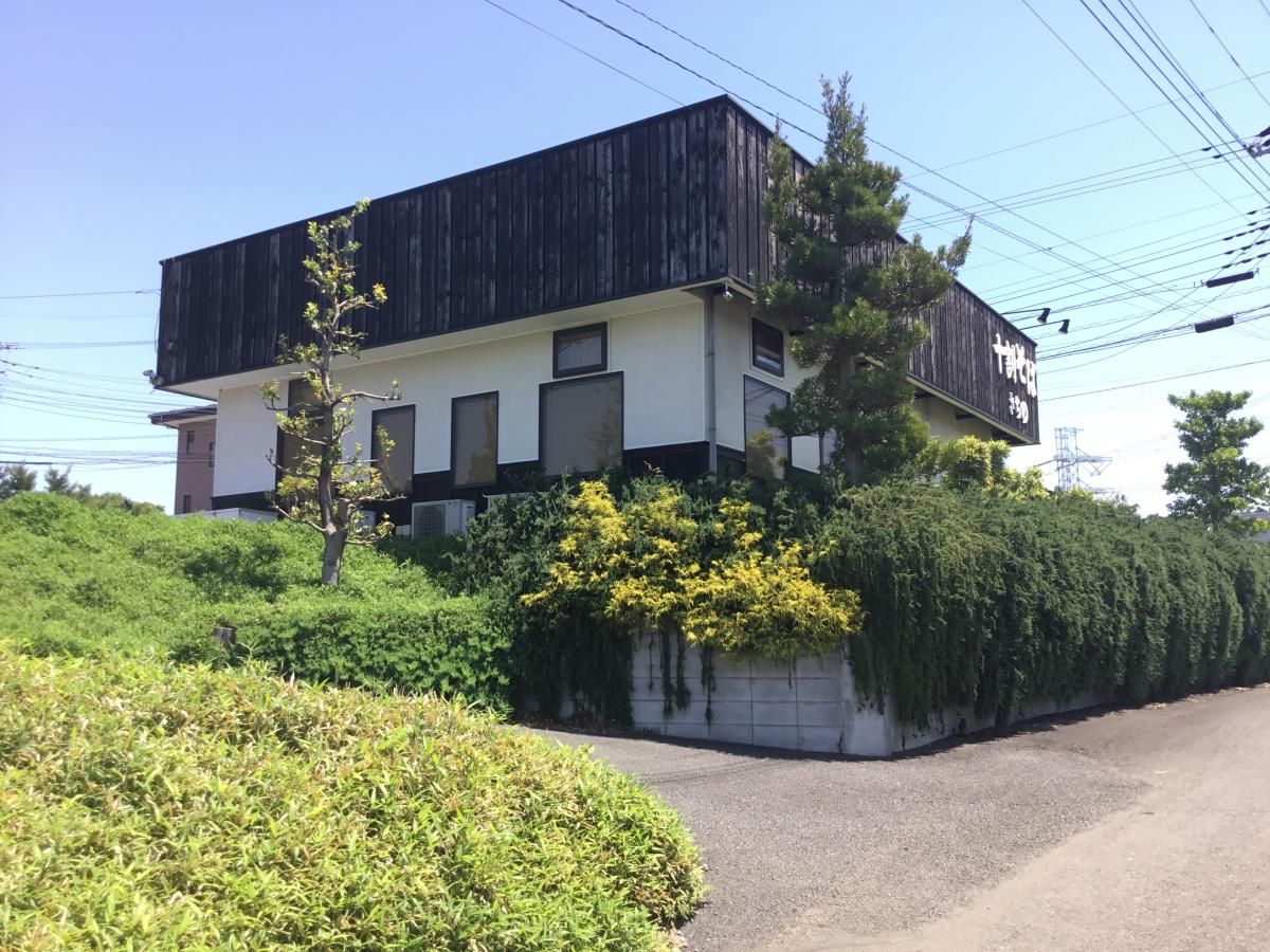 マーケットピア かわいい子犬屋さん 佐倉市 周辺施設 口コミ 写真 動画