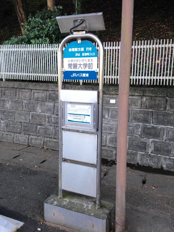 ユキサキナビ 茨城交通 常磐大学前 バス停留所 水戸市見和
