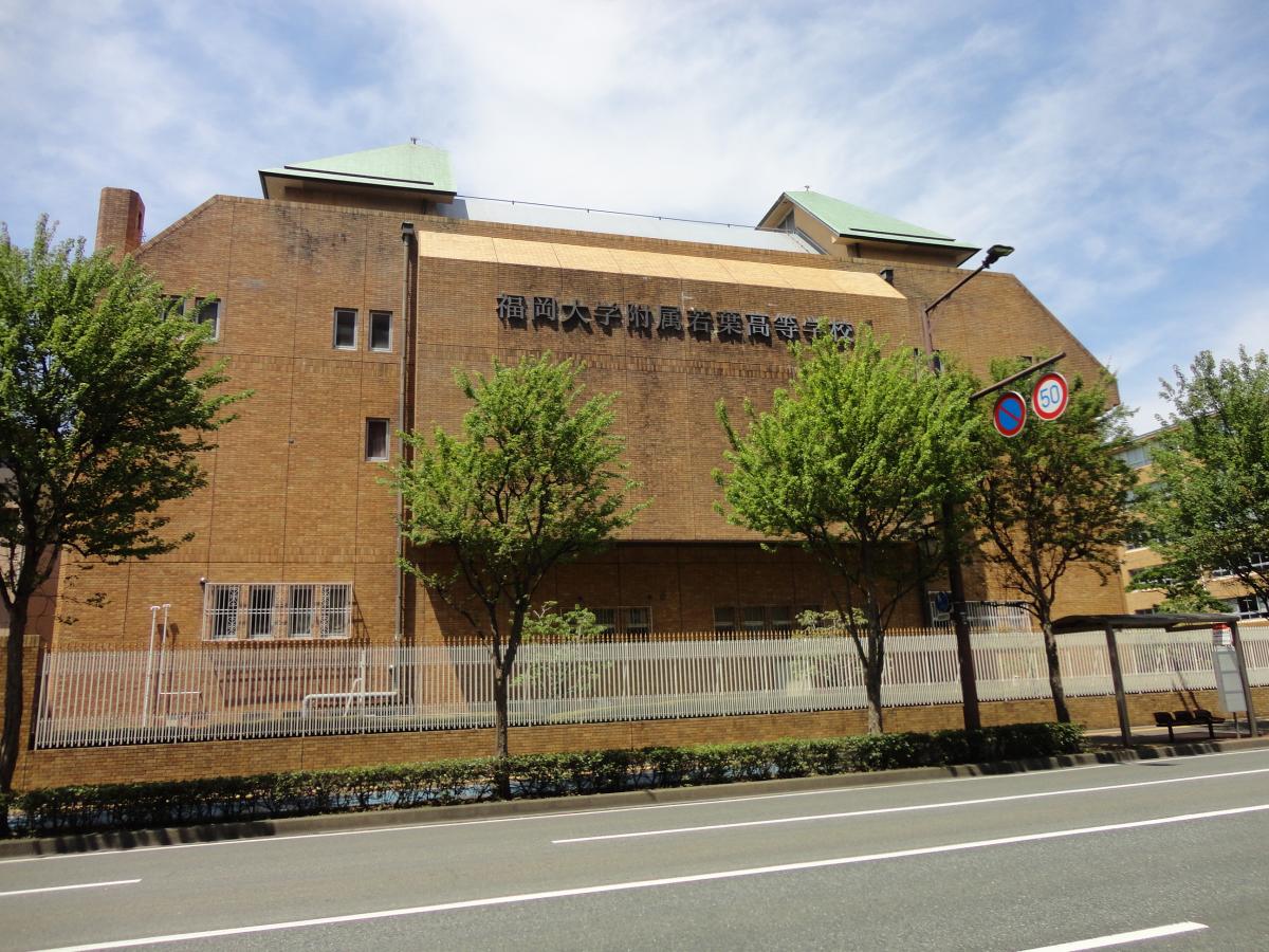 スタディピア 福岡大学附属若葉高校 福岡市中央区荒戸