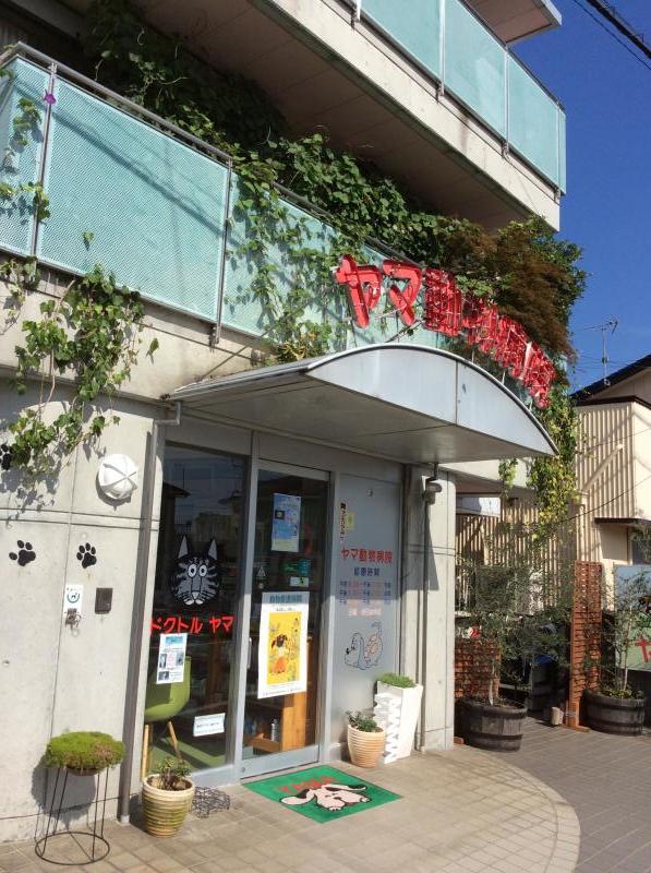 ドッグメディカル ヤマ動物病院