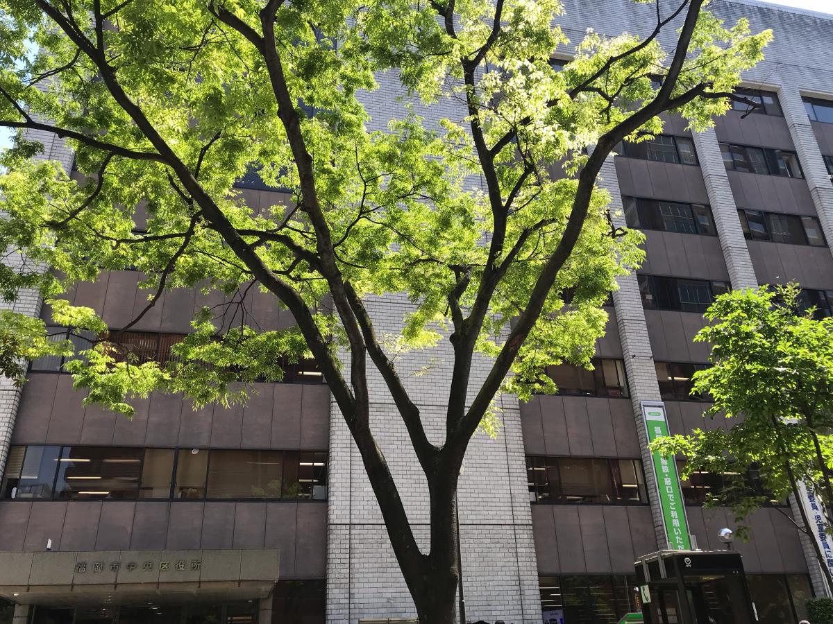 パブリネット 福岡市中央区役所 福岡市中央区大名