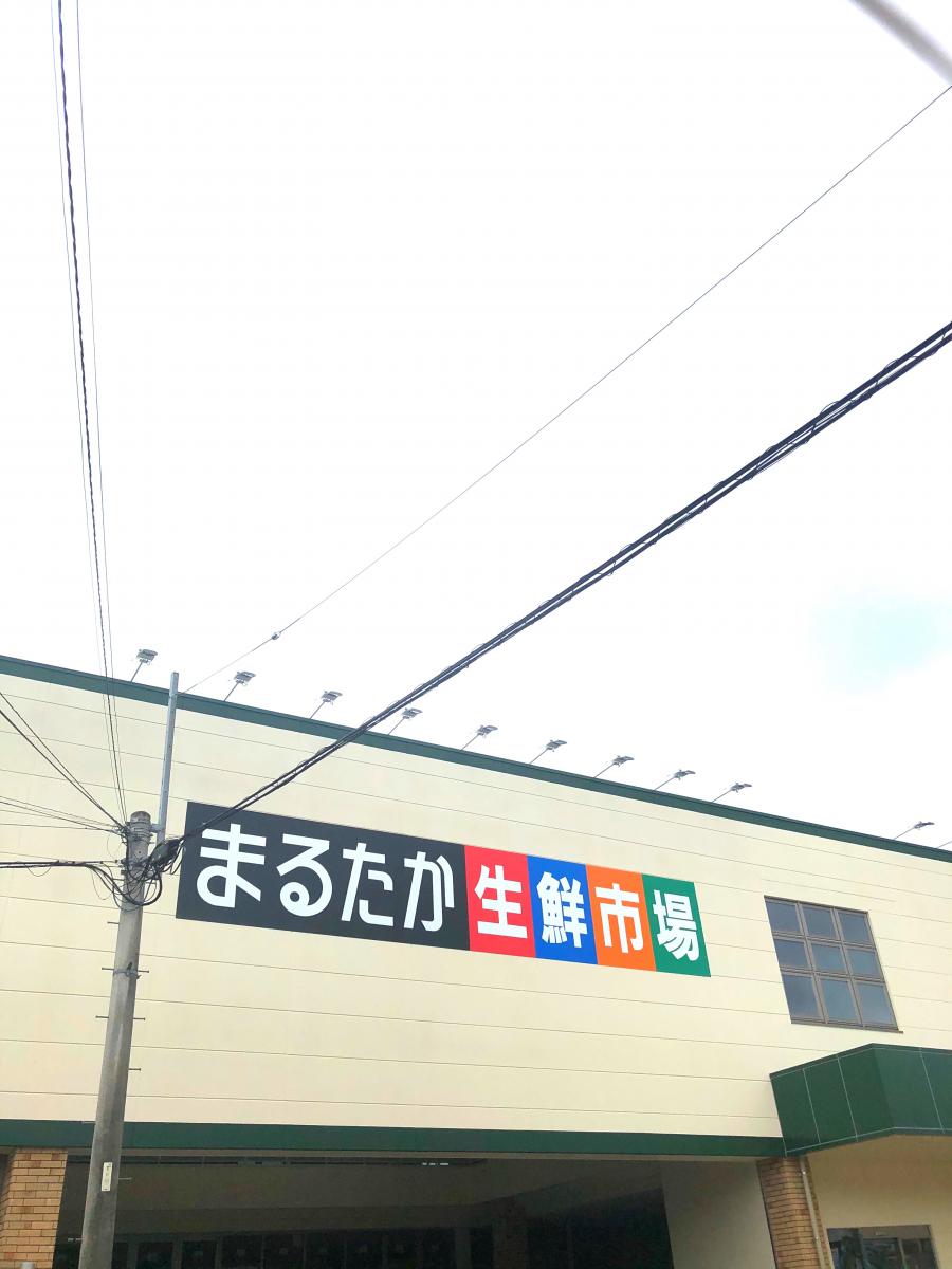 ホームメイト 長田早苗ハイツ 物件情報 長崎県佐世保市