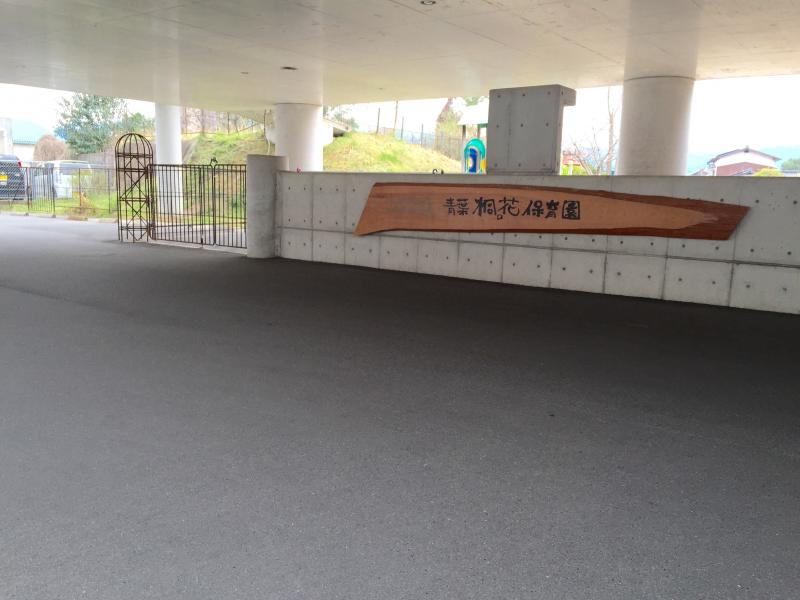 スタディピア 写真 青葉桐の花保育園