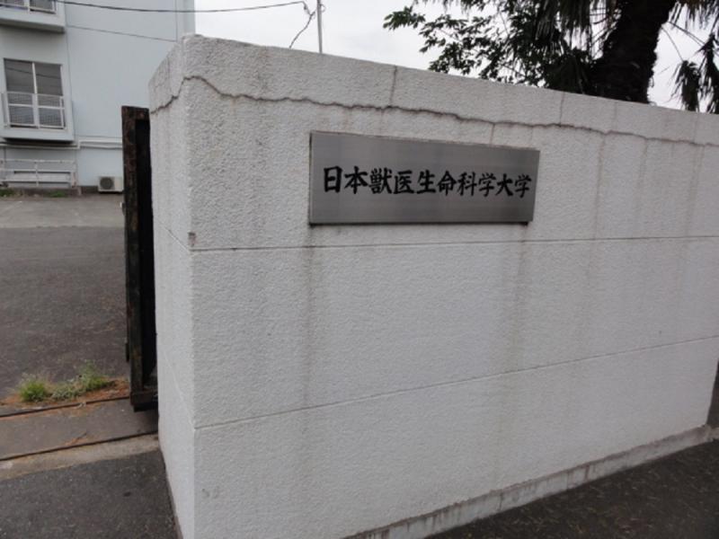 スタディピア 日本獣医生命科学大学第ニ校舎 武蔵野市境