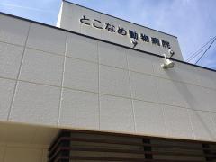 ドッグメディカル 常滑市の動物病院 ホームメイト