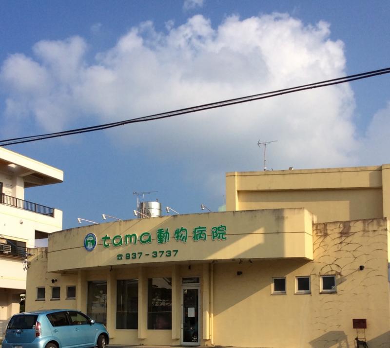 ドッグメディカル ｔａｍａ動物病院 沖縄市古謝