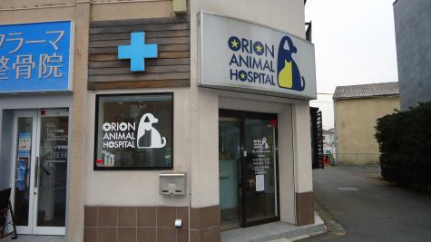 ドッグメディカル オリオン動物病院 調布市仙川町