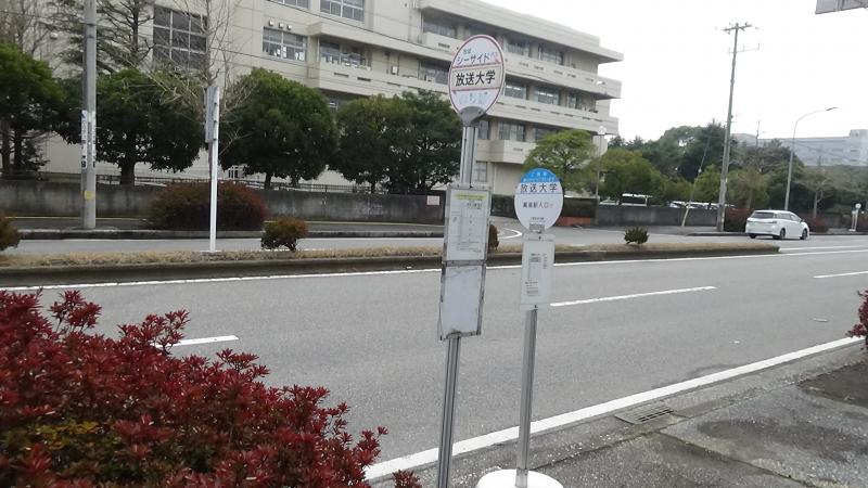 スタディピア 千葉県立保健医療大学 千葉市美浜区 周辺施設 口コミ 写真 動画
