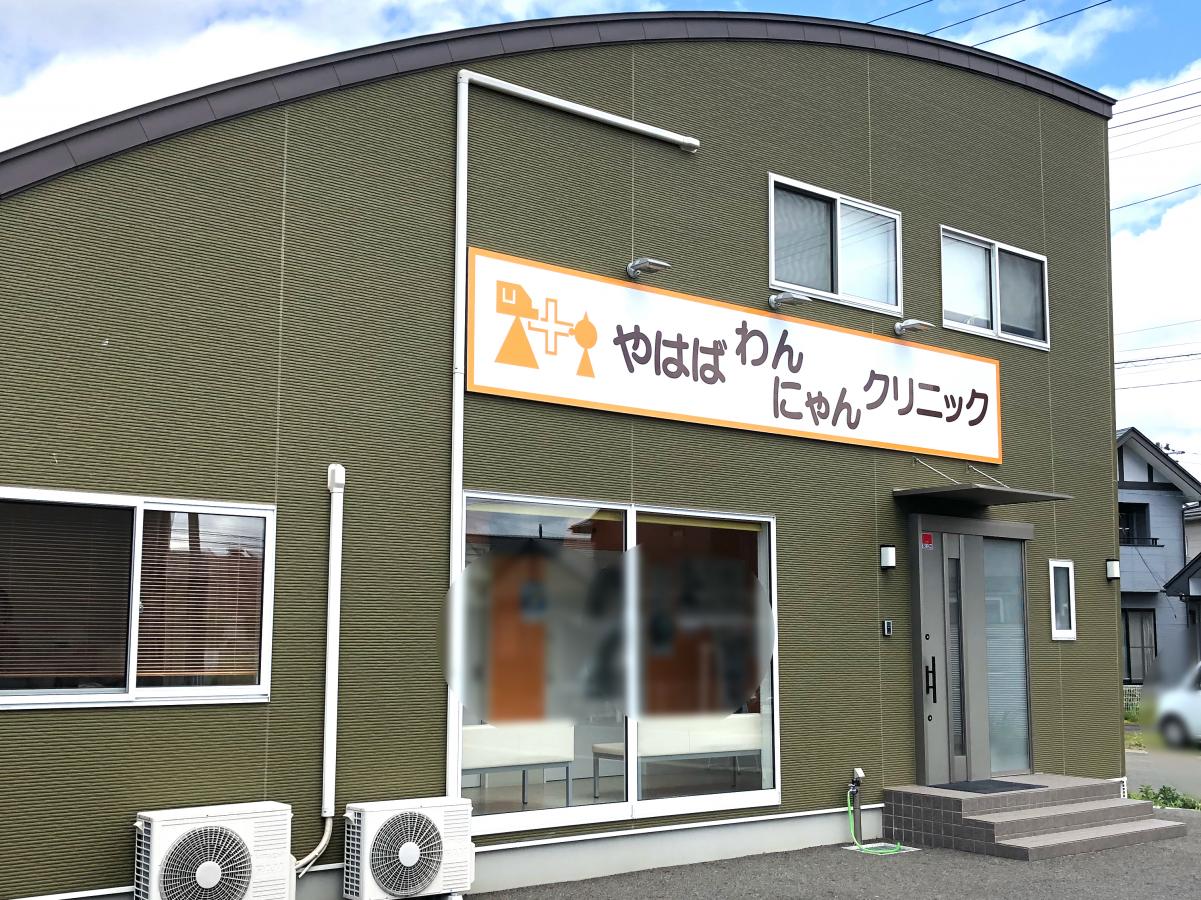 ドッグメディカル やはば わんにゃんクリニック 紫波郡矢巾町高田