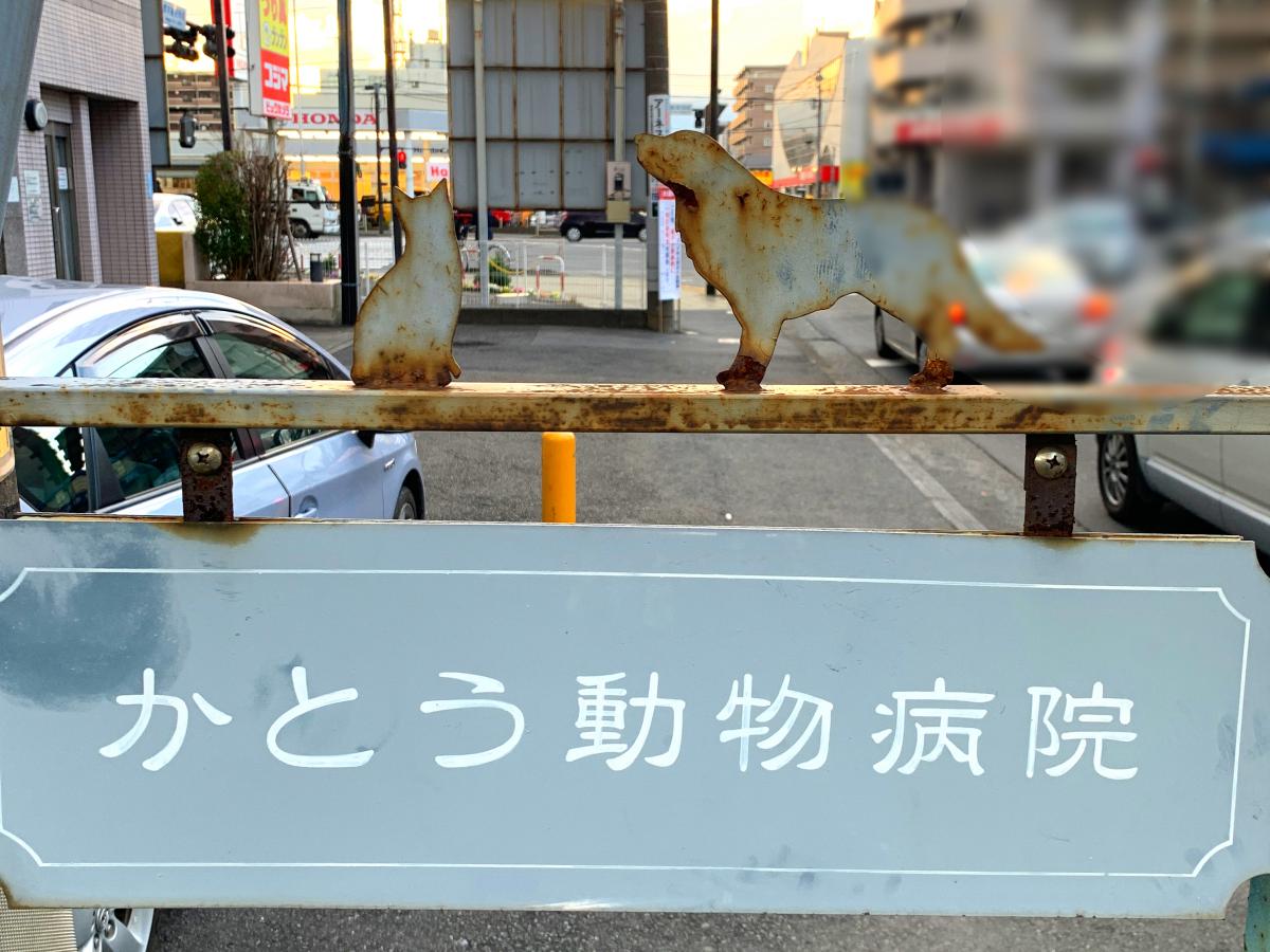 加藤動物病院：投稿ユーザーアルバム／ホームメイト