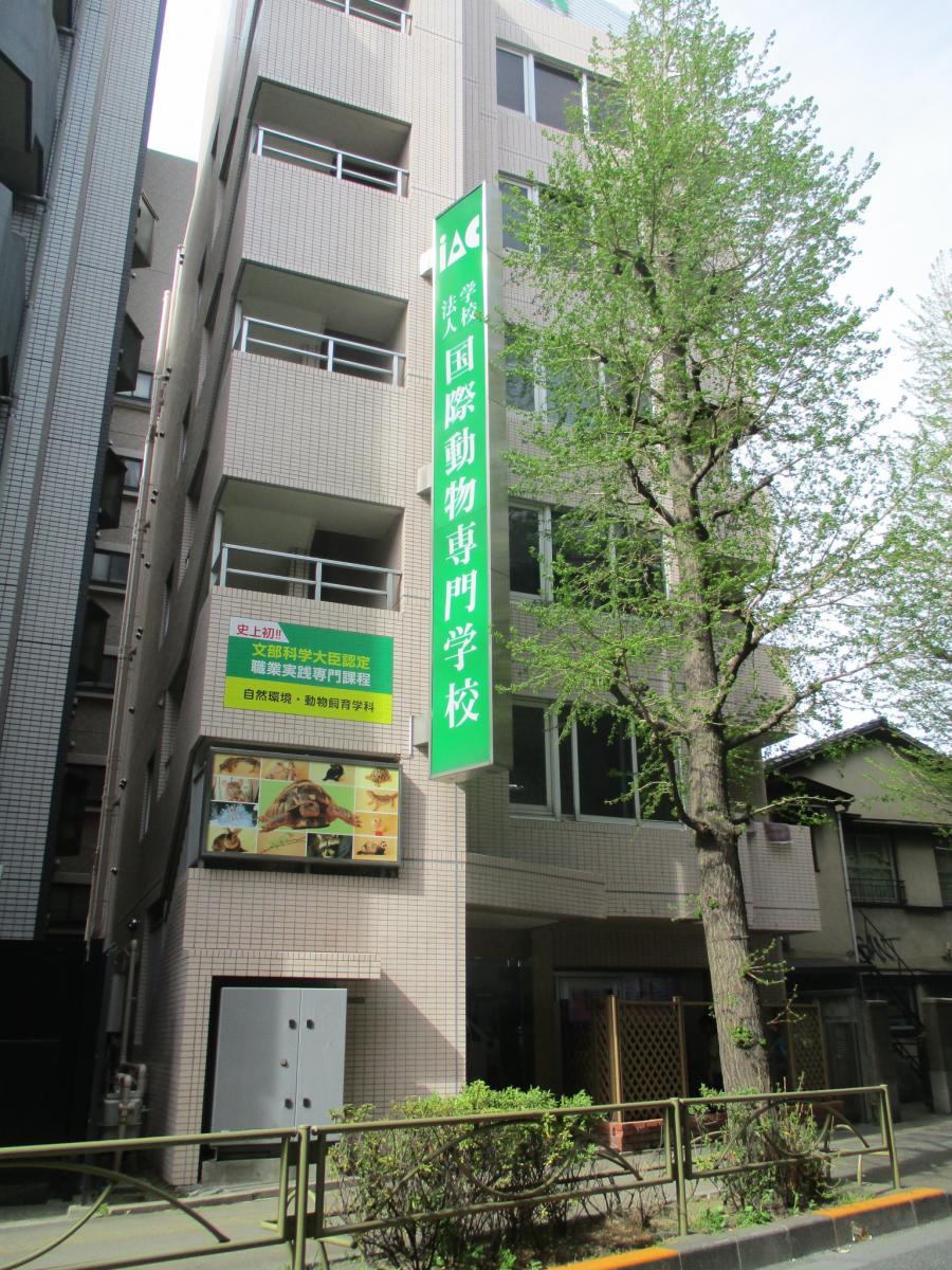 スタディピア 国際動物専門学校 世田谷区上馬