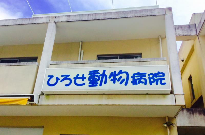 ひろせ 動物 病院