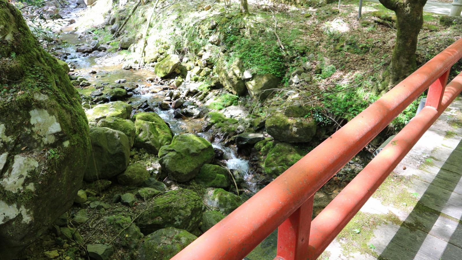 旅探 たびたん 瑠璃寺