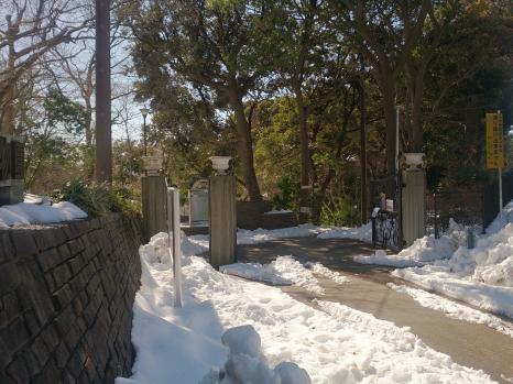 旅探 たびたん 横浜市こども植物園 横浜市南区 の投稿写真一覧