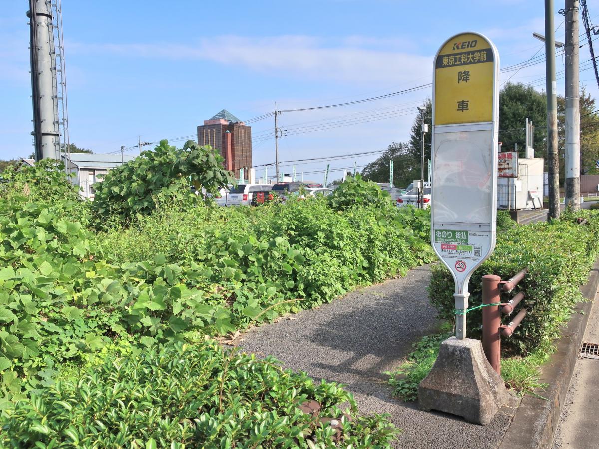 ユキサキナビ 京王バス 東京工科大学前 バス停留所 八王子市片倉町