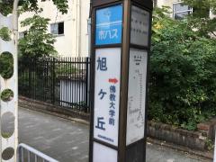 スタディピア 光悦自動車教習所 京都市北区 の周辺施設写真一覧 1ページ