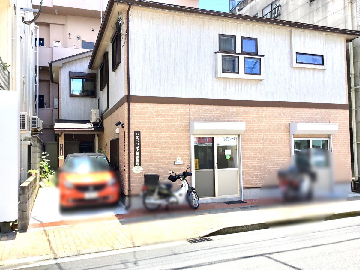 ドッグメディカル いまべっぷ犬猫診療所 鹿児島市荒田