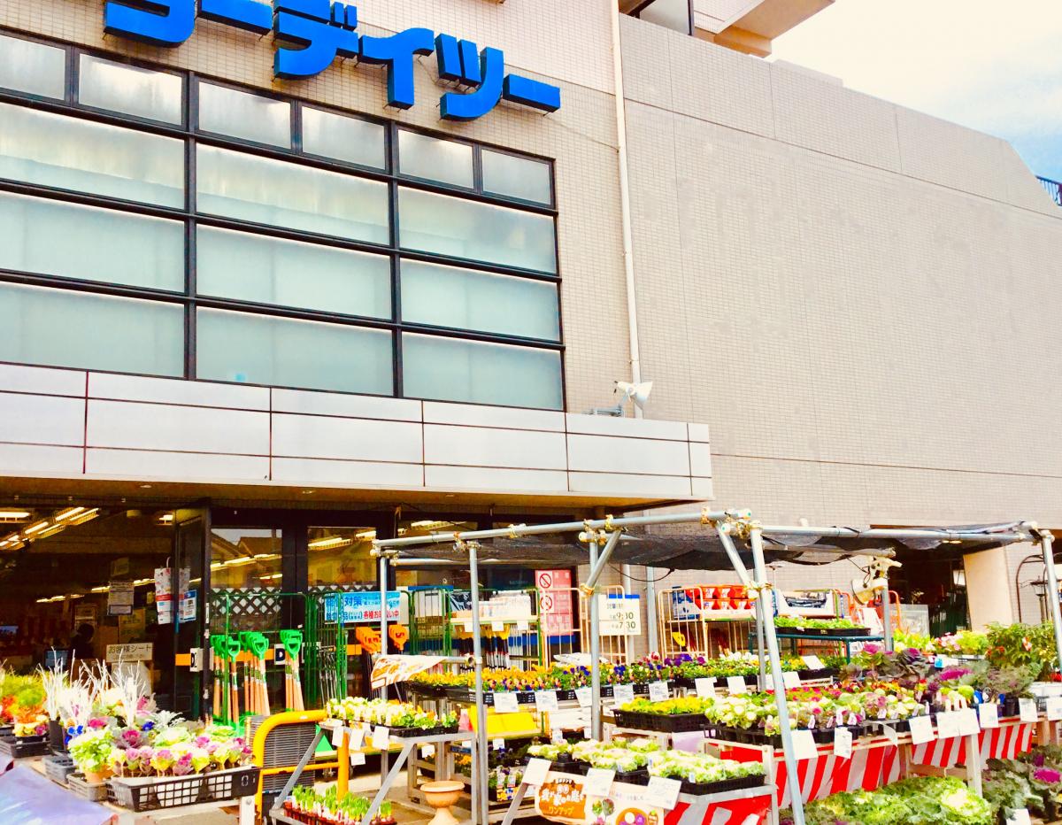 マーケットピア ケーヨーデイツー 国立青柳店