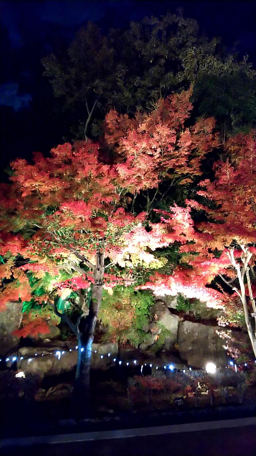 松山城二之丸史跡庭園