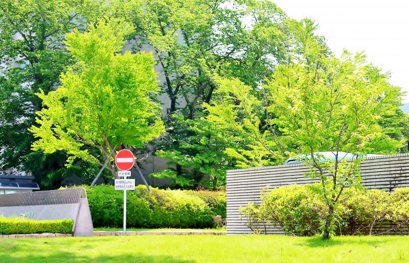 スタディピア 愛知学泉大学岡崎キャンパス 岡崎市