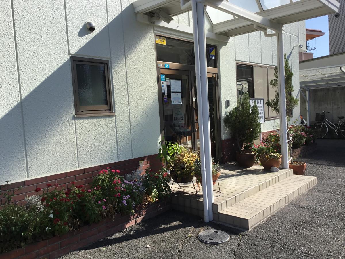 アイビー 動物 クリニック