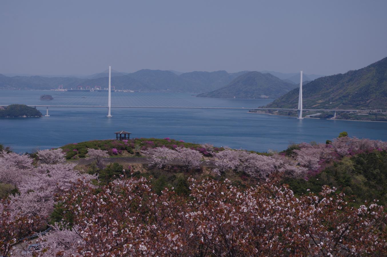 パブリネット 開山公園 パブリネット 開山公園
