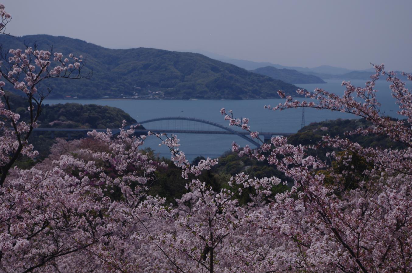 パブリネット 開山公園 パブリネット 開山公園