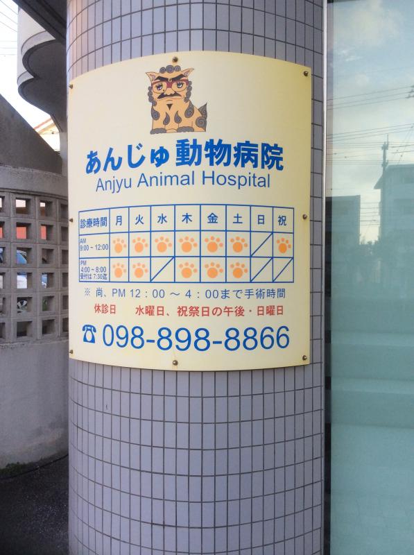 ドッグメディカル あんじゅ動物病院 沖縄県宜野湾市 投稿ユーザー写真集