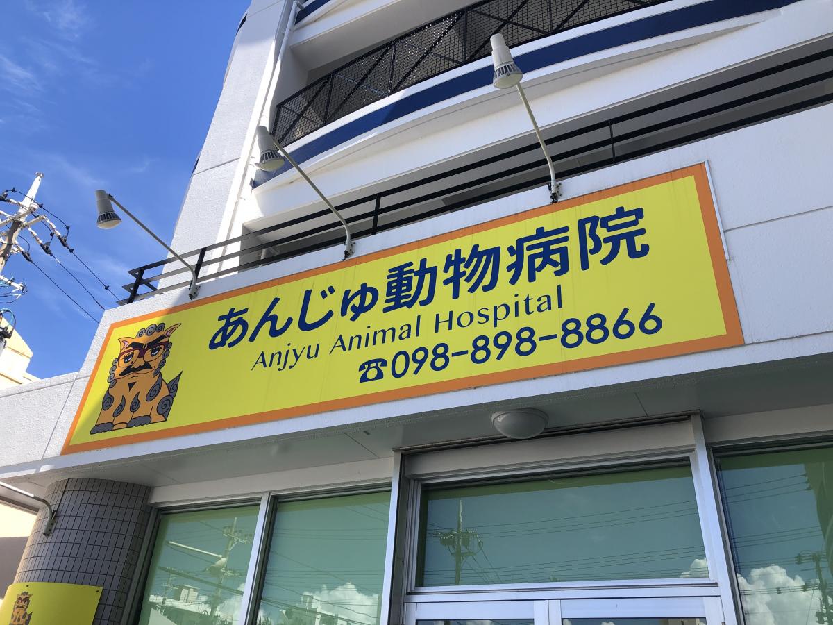ドッグメディカル あんじゅ動物病院 宜野湾市真志喜