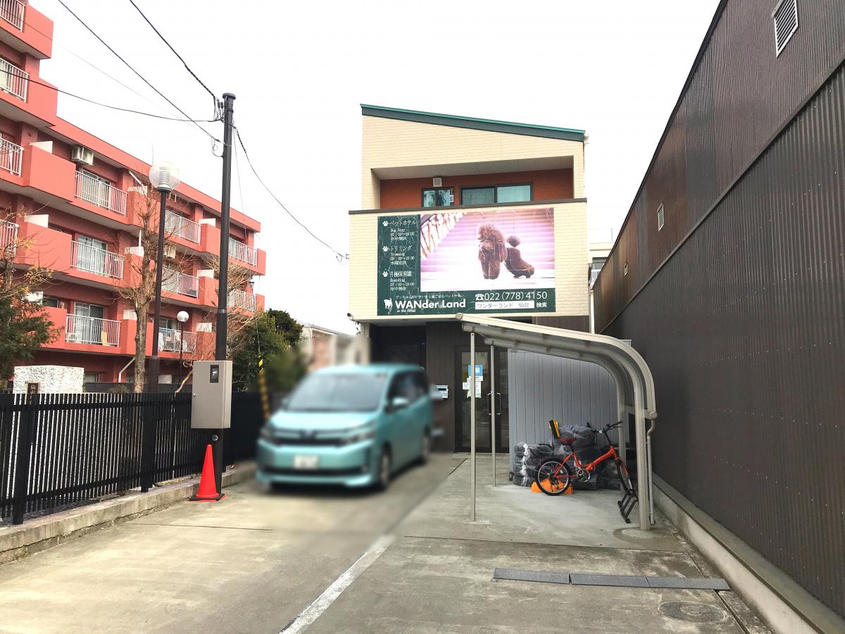 マーケットピア ワンダーランド
