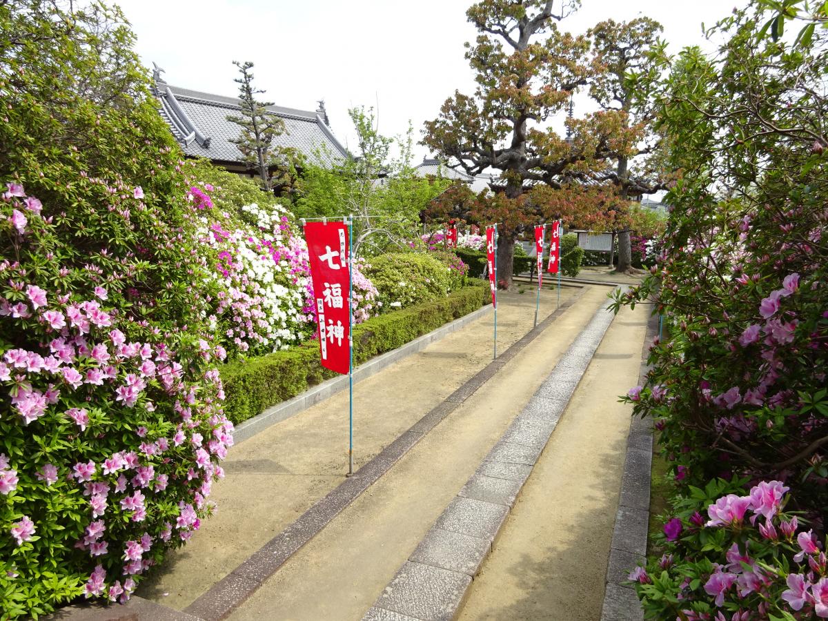 【ホームメイト】法雲寺