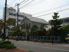 スタディピア 新潟青陵幼稚園 認定こども園 新潟市中央区水道町