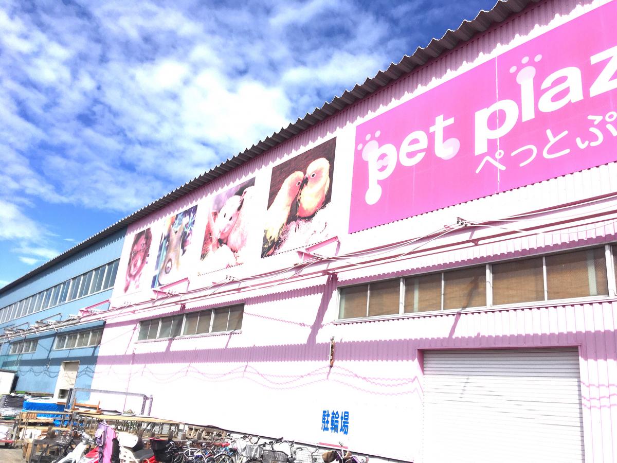 マーケットピア ペットプラザ高槻店 高槻市芝生町