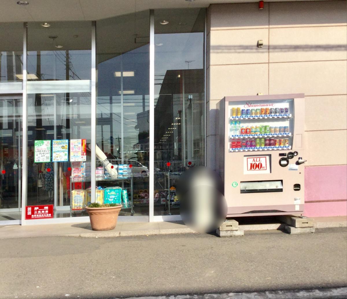 マーケットピア ファッションセンターしまむら 三和店 古河市諸川