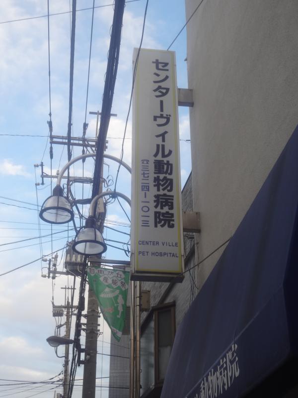 ドッグメディカル センターヴィル動物病院 目黒区自由が丘