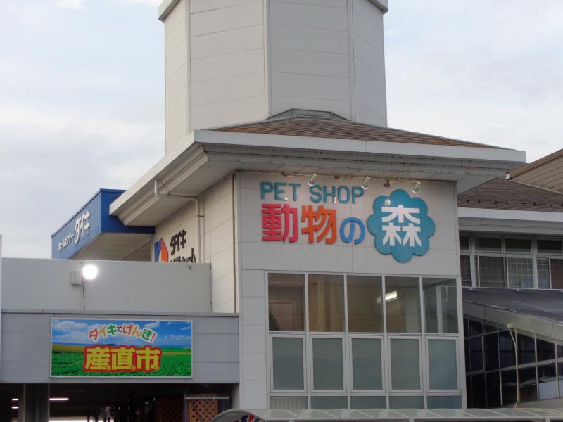 マーケットピア ペットハウスウインクダイキ川内店 広島市安佐南区川内