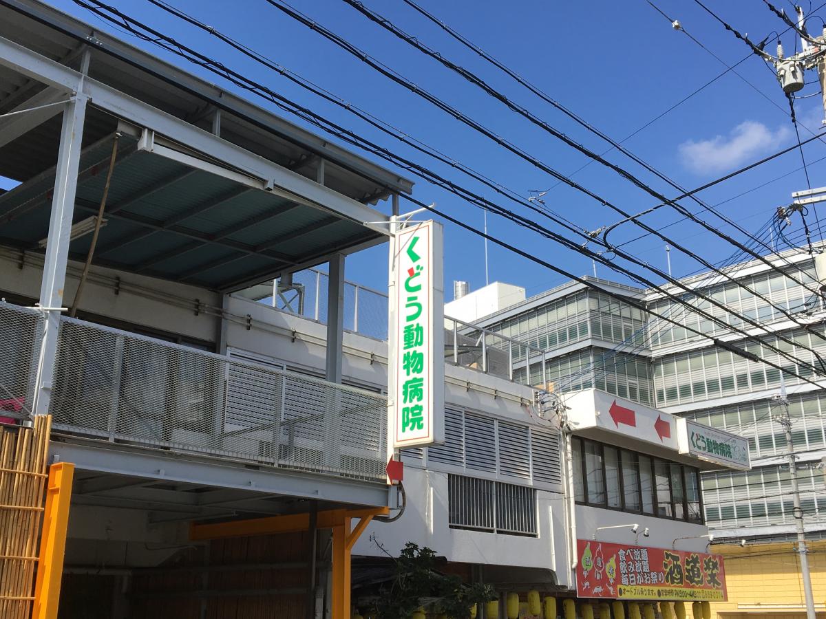 ドッグメディカル くどう動物病院