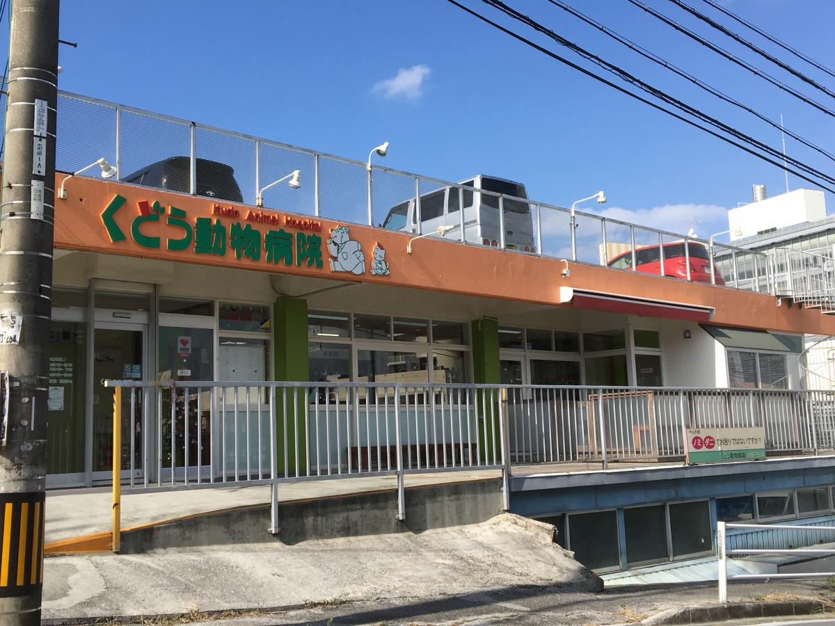 ドッグメディカル くどう動物病院