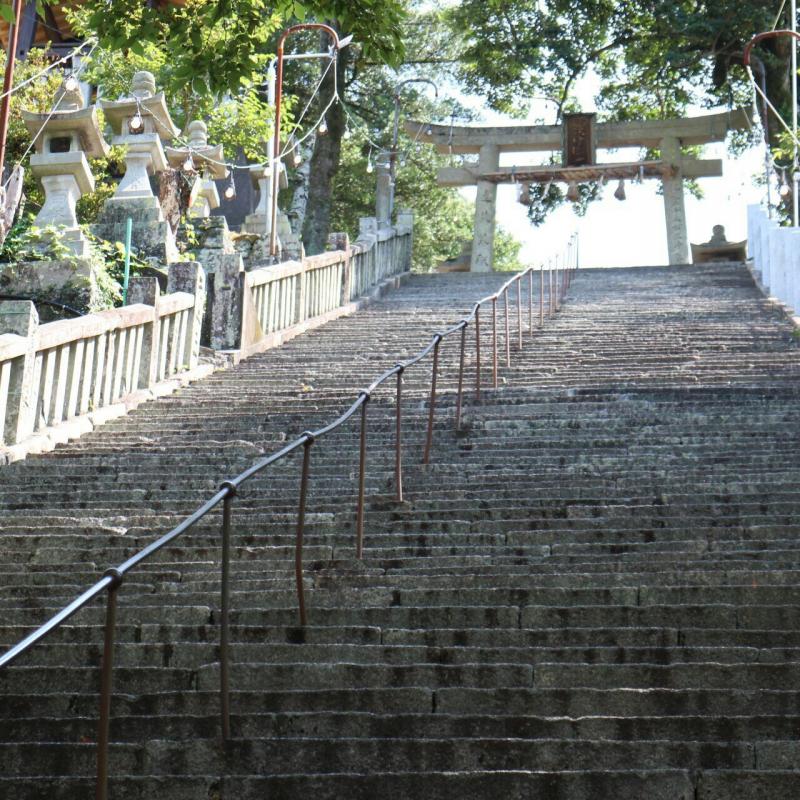 ドッグメディカル 小動物診療所たけのうち 徳島市 周辺施設 口コミ 写真 動画