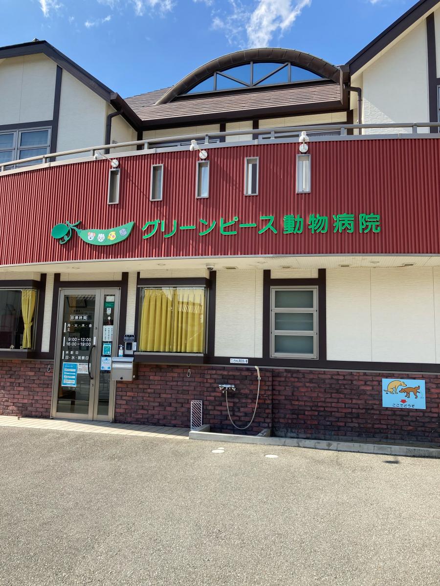ドッグメディカル グリーンピース動物病院